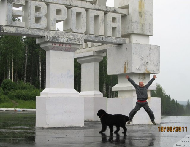 Фото: Aleksey Nistratov (Алексей Нистратов), ньюфаундленд Ih Vyisochestvo Vladlena Madjiks (Их Высочество Владлена Маджикс)