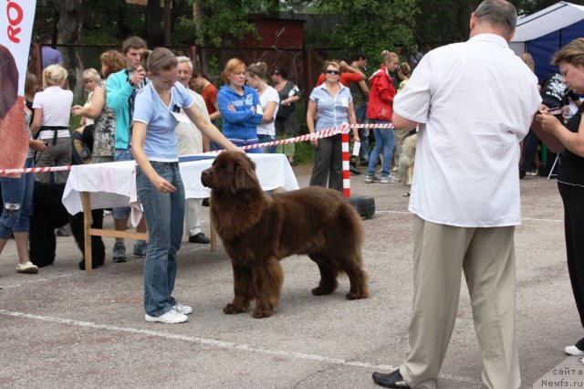 Фотография № 70942