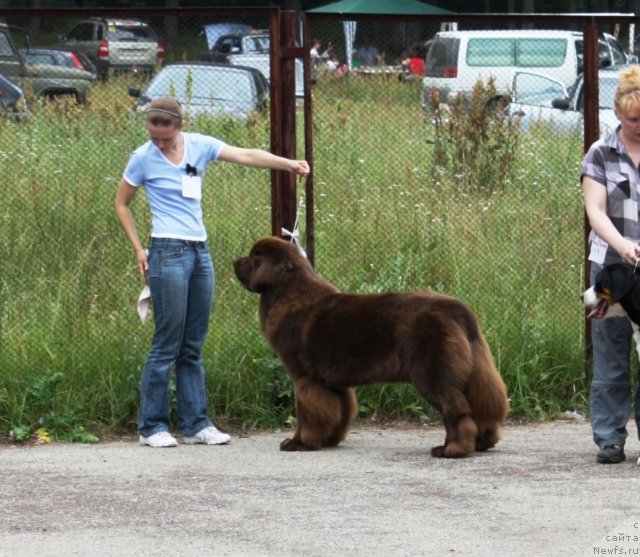 Фотография № 70943