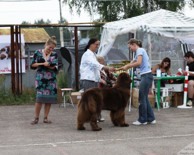 Фотография № 70944