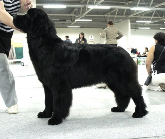 Фотография № 70958