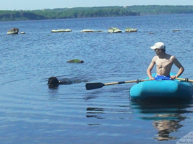 Фотография № 70965