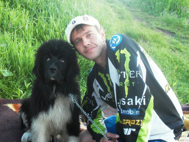 Фотография № 70966