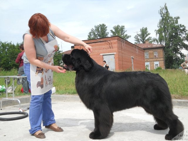 Фотография № 70994