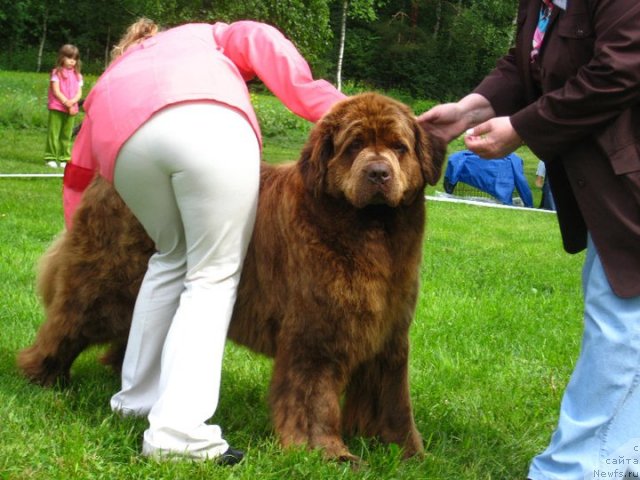 Фотография № 70997