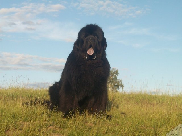 Фотография № 71001