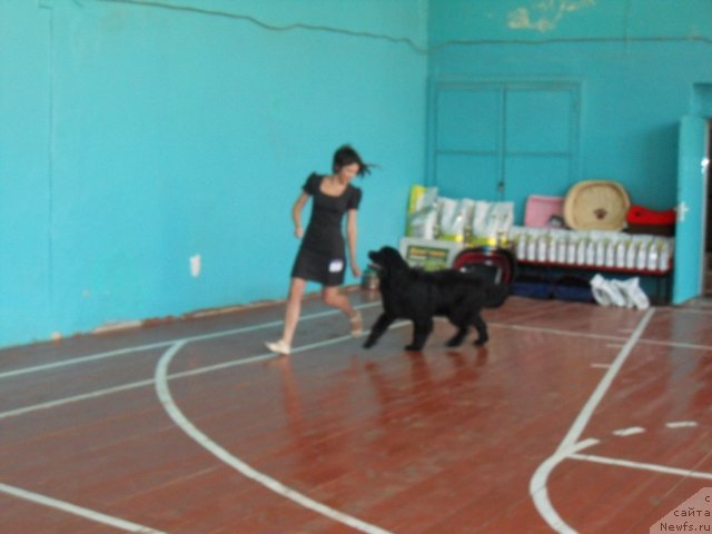 Фотография № 71007