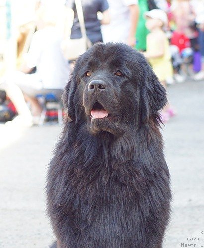 Фотография № 71009