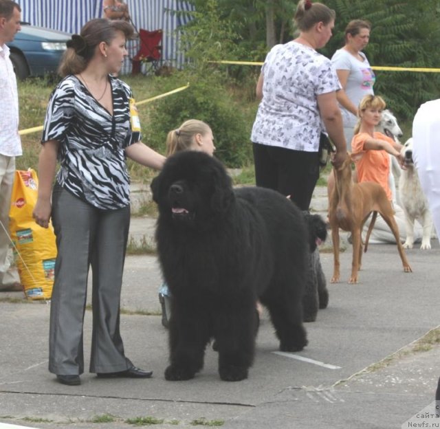 Фотография № 71013