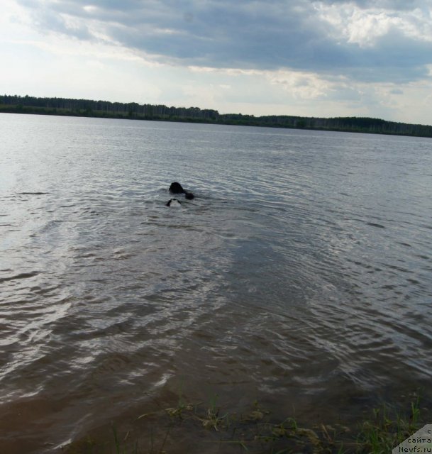 Фотография № 71065