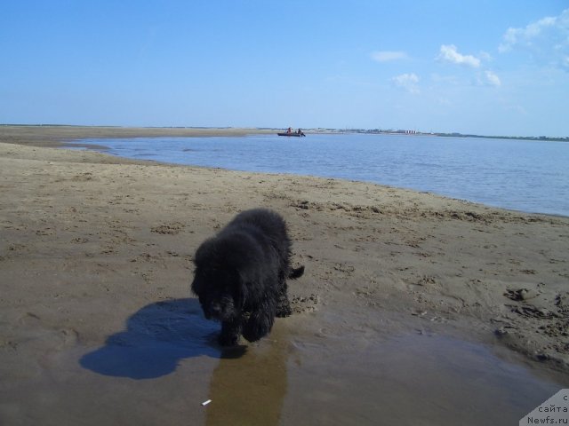 Фотография № 71072