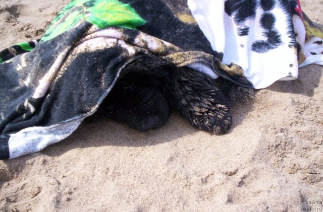 Фотография № 71073