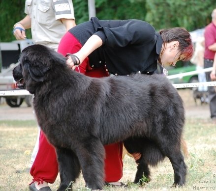 Фотография № 71080