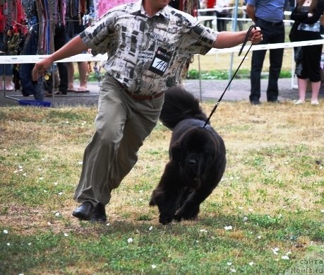 Фотография № 71082