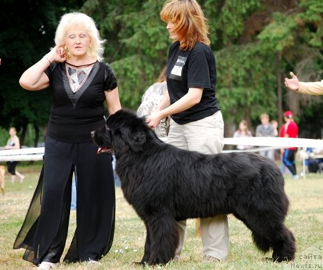 Фотография № 71084