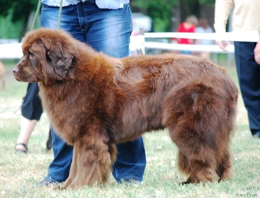 Фотография № 71086