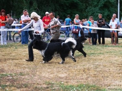 Фотография № 71088