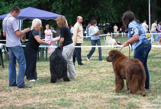 Фотография № 71089