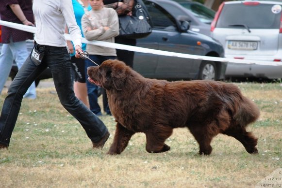 Фотография № 71090