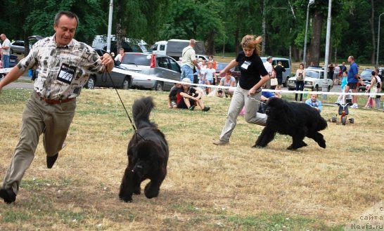 Фотография № 71093