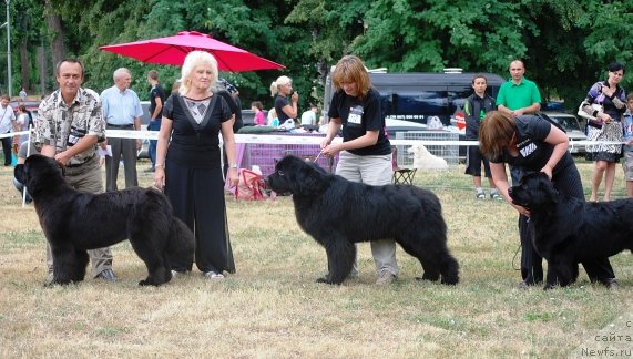 Фотография № 71094