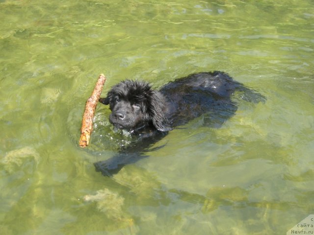 Фотография № 71196