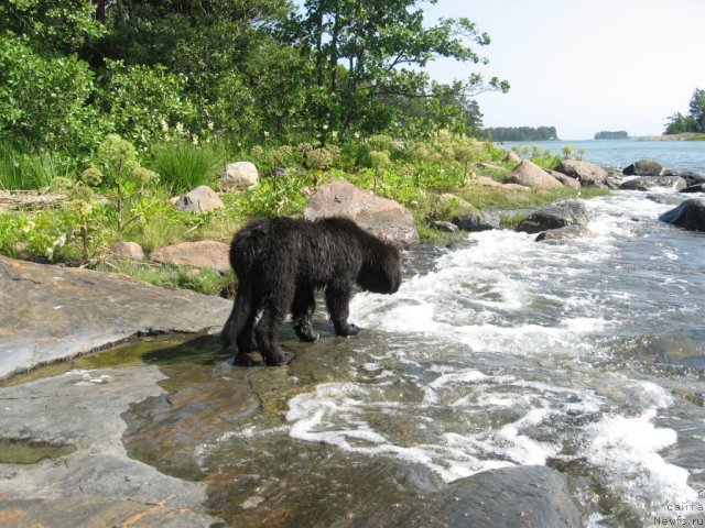 Фотография № 71197