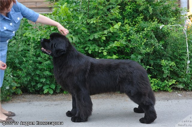 Фотография № 71199