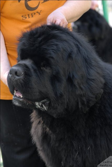 Фотография № 71206