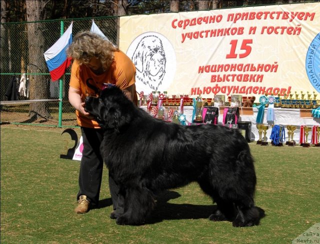 Фотография № 71212