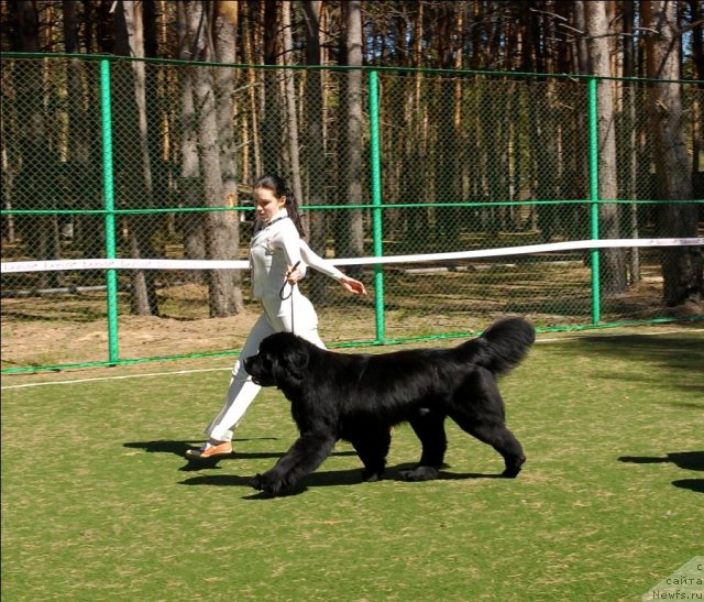 Фотография № 71216