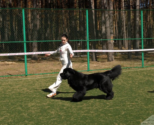 Фотография № 71217