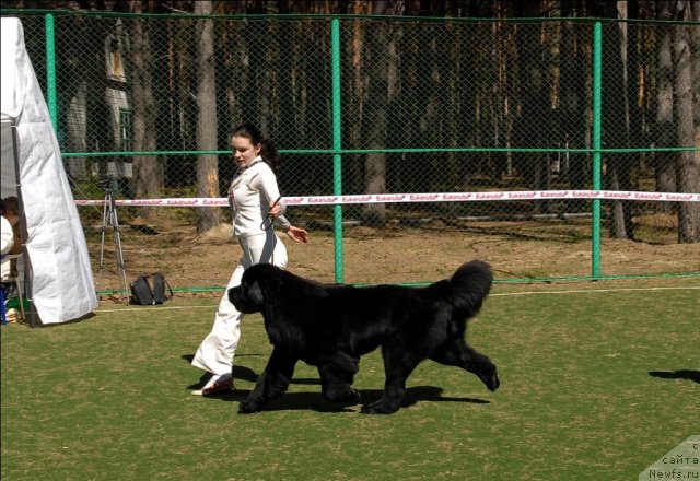 Фотография № 71218