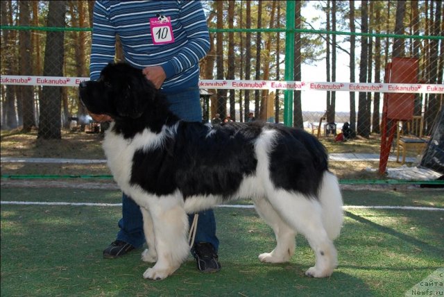 Фотография № 71224