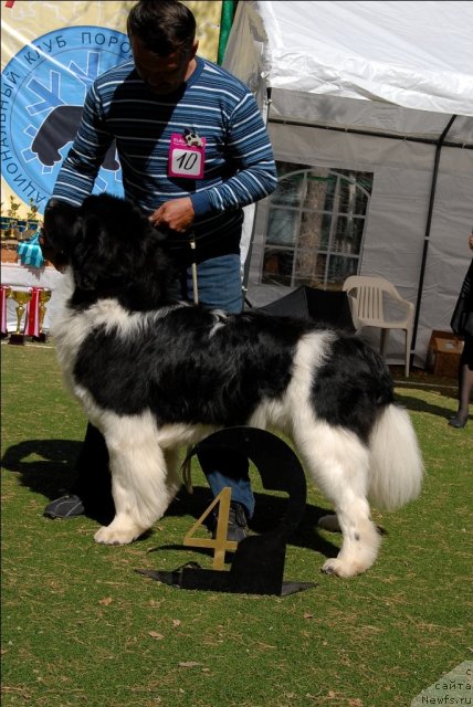 Фотография № 71225