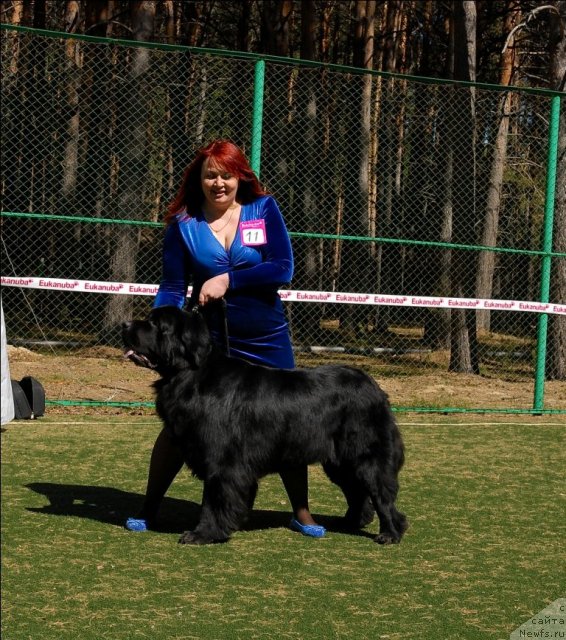 Фотография № 71226