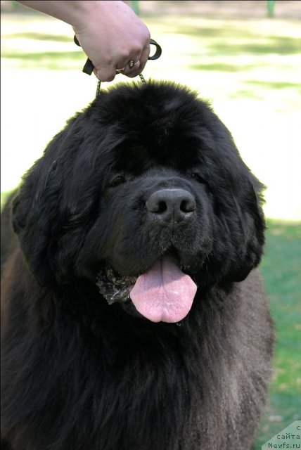 Фотография № 71230