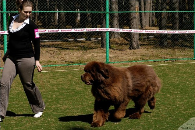 Фотография № 71233