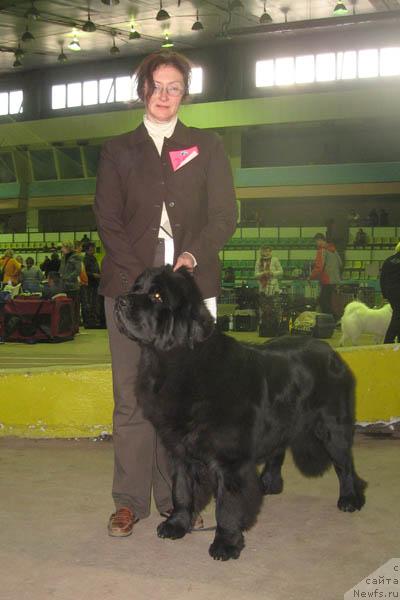 Фото: ньюфаундленд Dolce Amico Chaya, Lada Pavlikovskaya (Лада Павликовская)