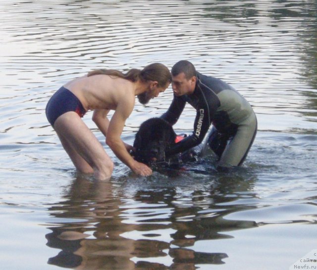 Фотография № 71249