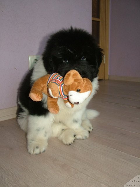 Фото: Зумба