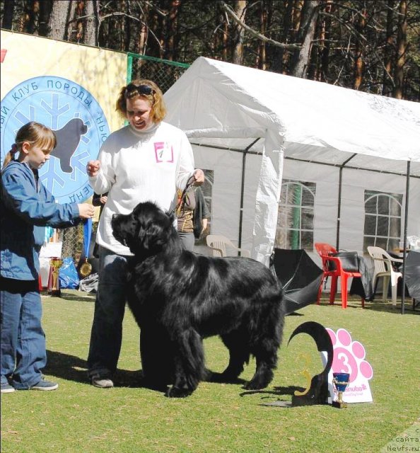 Фотография № 71259