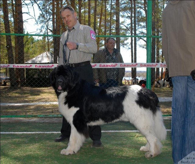 Фотография № 71262