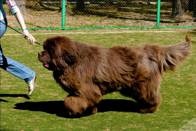 Фотография № 71270