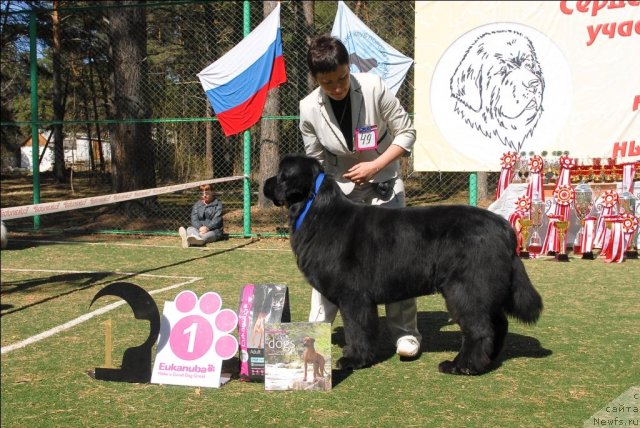 Фотография № 71402