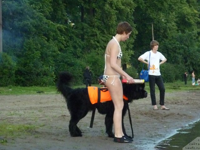 Фотография № 71472