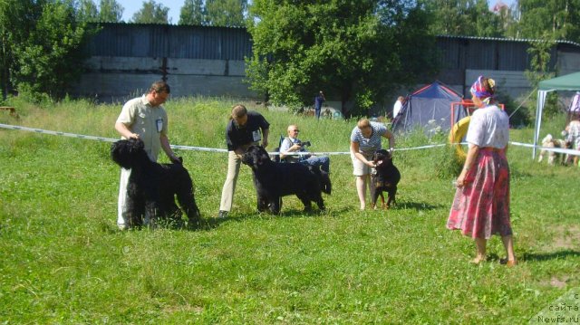 Фотография № 71496