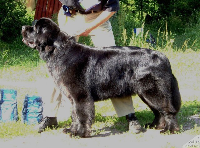 Фотография № 71498