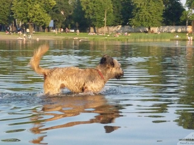 Фотография № 71513