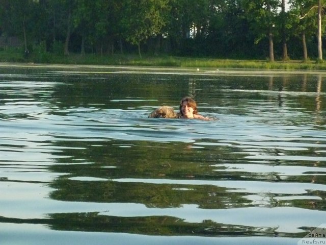 Фотография № 71516